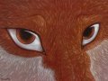 Vulpine_Eyes.jpg